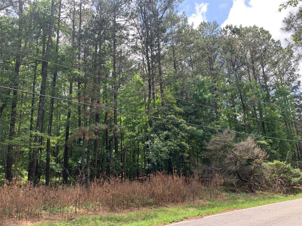 Slater Mill Road, Douglasville, Georgia image 3