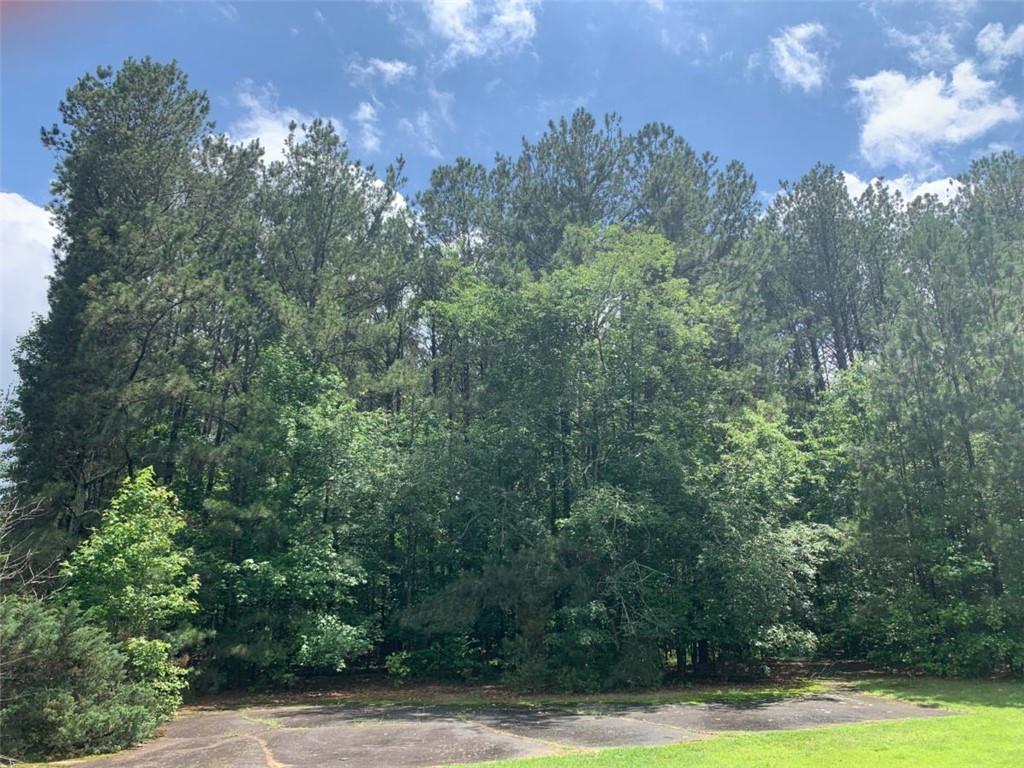 Slater Mill Road, Douglasville, Georgia image 7