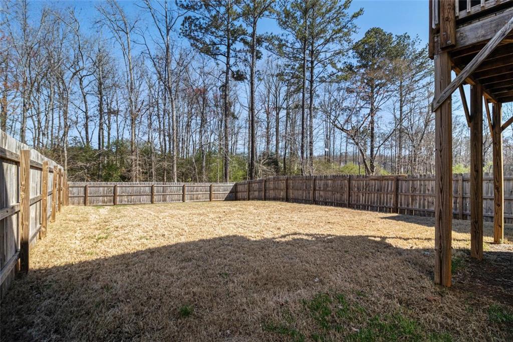 104 Silver Birch Pass, Newnan, Georgia image 23