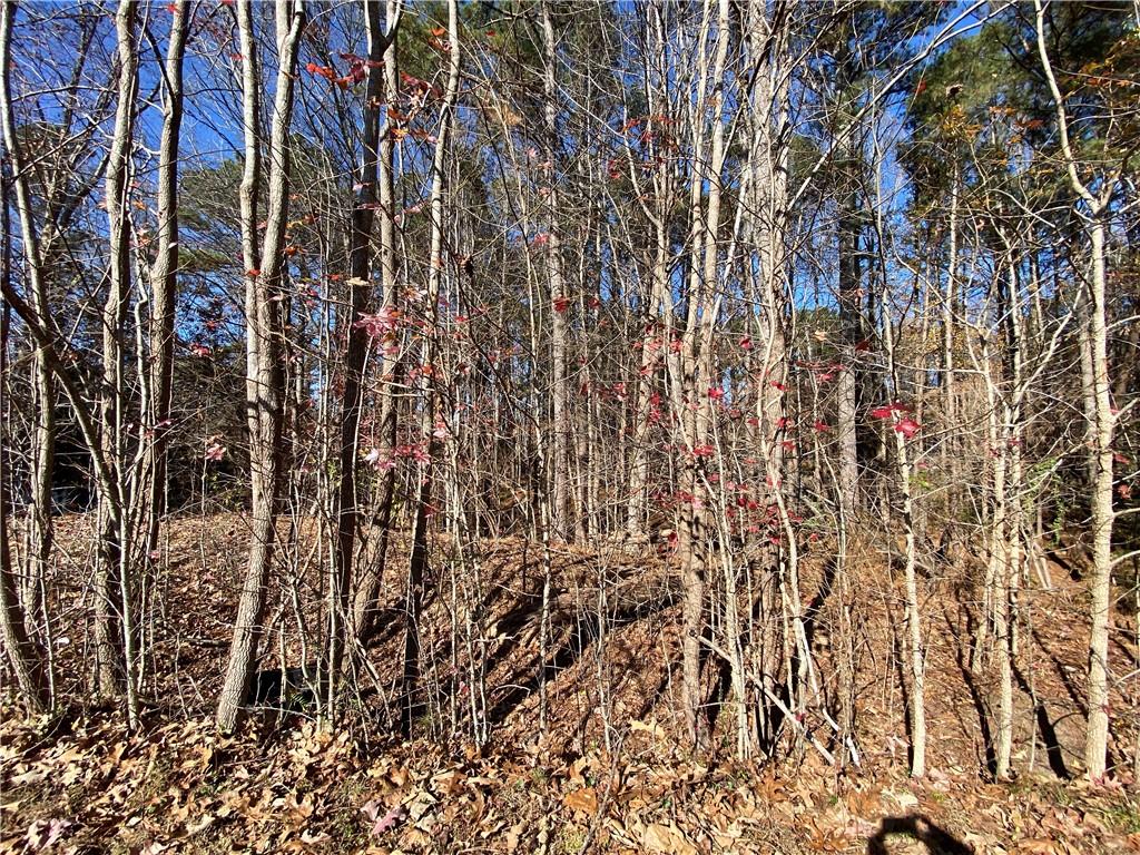 Black Oak Trail, Woodstock, Georgia image 6