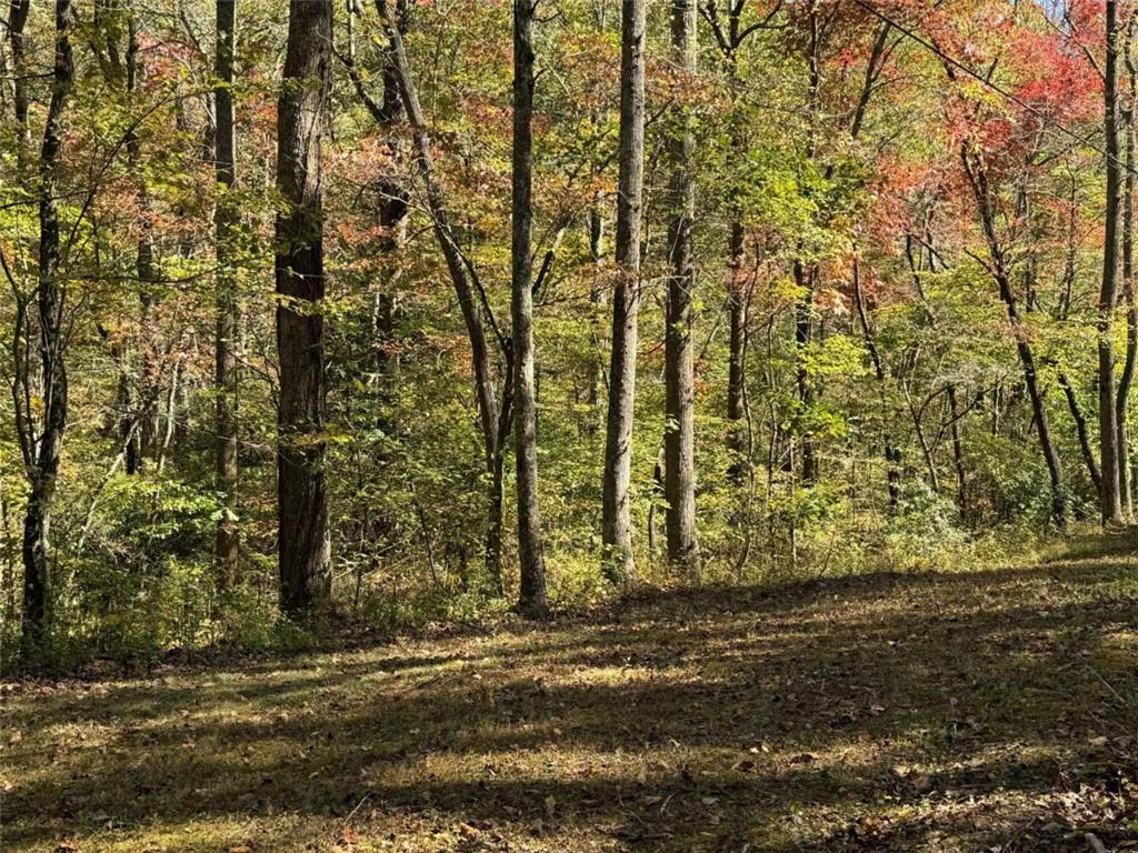 Off Hwy 52 East, Dawsonville, Georgia image 8