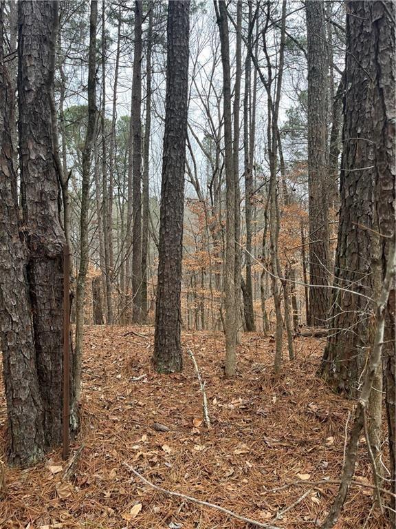 LOT 3 Lake Esther Drive