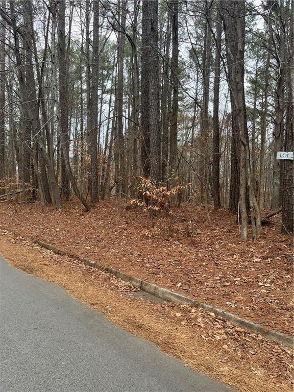 LOT 3 Lake Esther Drive