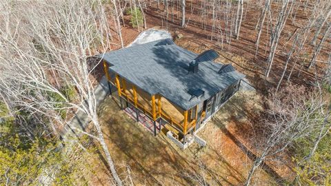 A home in Mineral Bluff