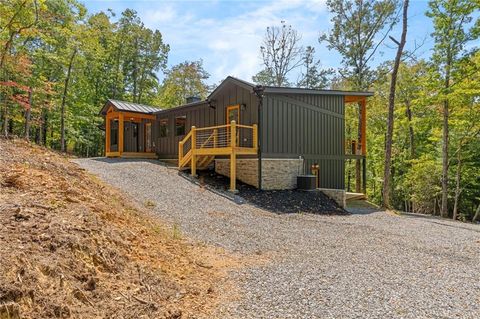 A home in Mineral Bluff