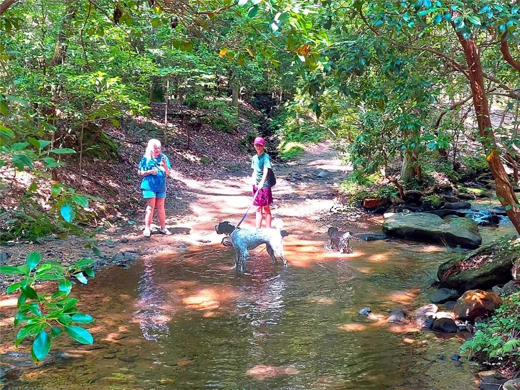 Big Canoe - Residential