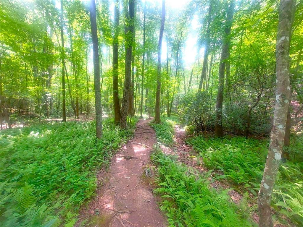 Big Canoe - Residential