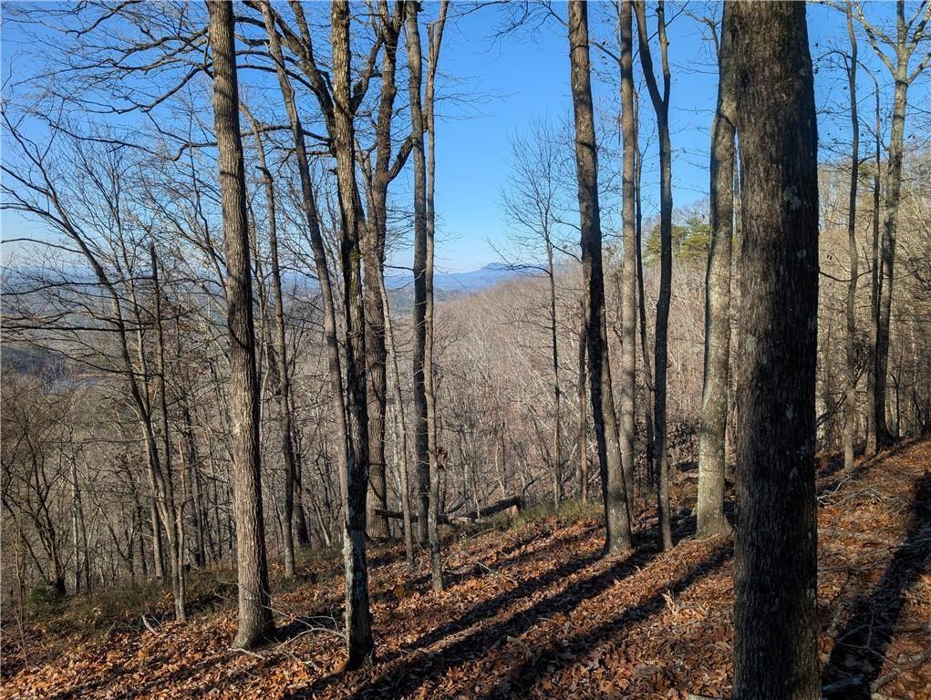 234 Stirratt Road, Ranger, Georgia image 2