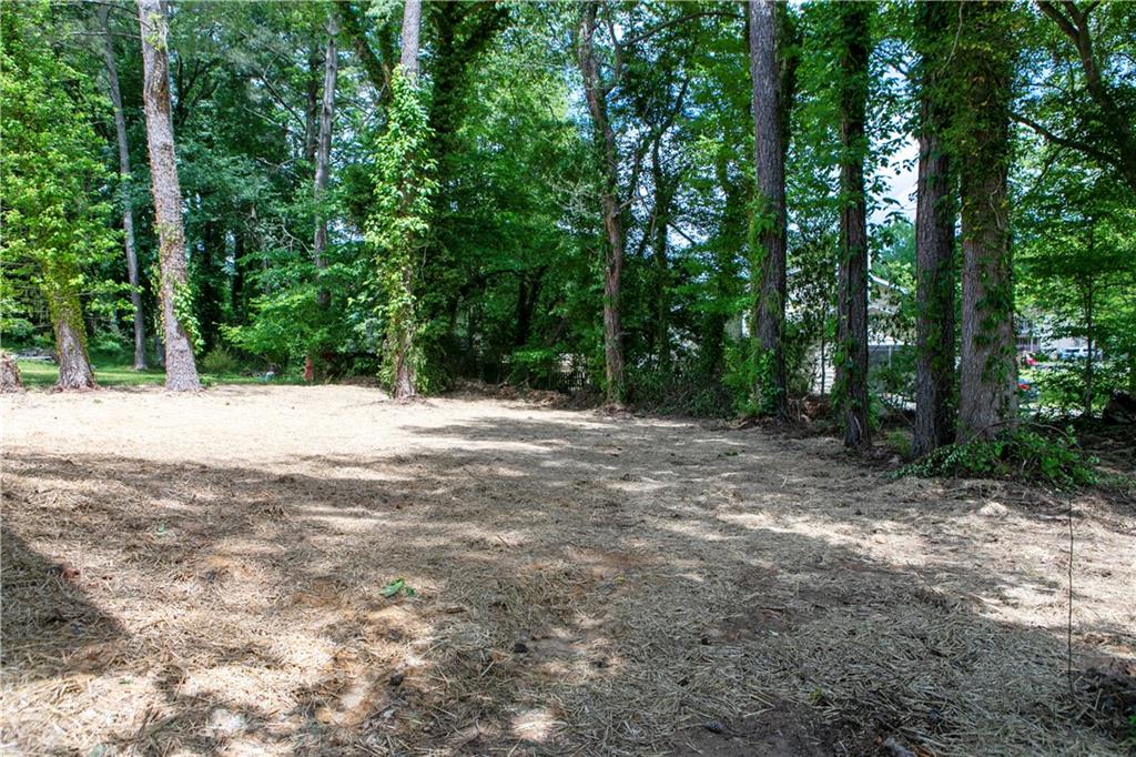 1241 Bethsaida Road, Riverdale, Georgia image 36