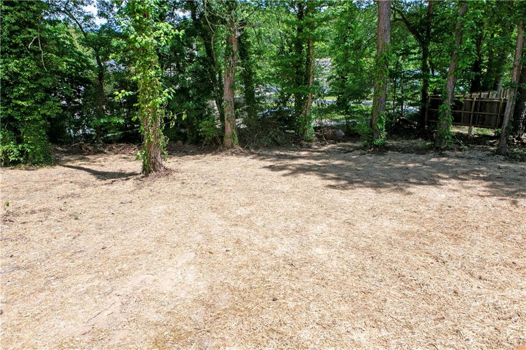 1241 Bethsaida Road, Riverdale, Georgia image 35