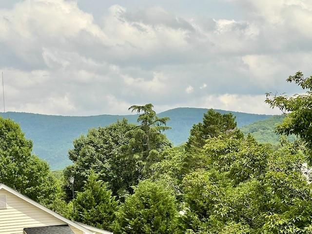 19 Magnolia Court, Rydal, Georgia image 44