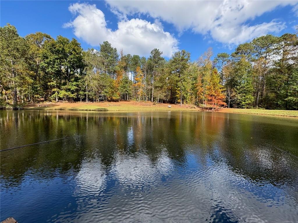337 Andrew Bailey Road, Sharpsburg, Georgia image 12