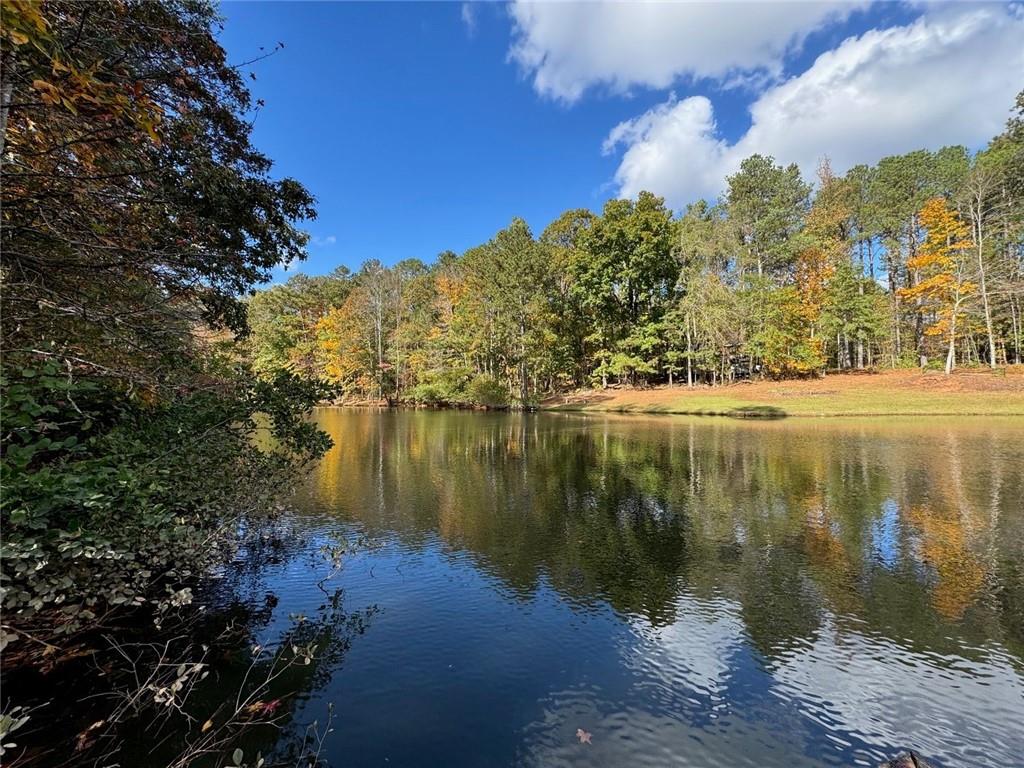 337 Andrew Bailey Road, Sharpsburg, Georgia image 13