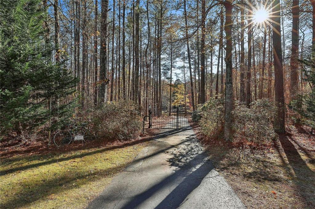 337 Andrew Bailey Road, Sharpsburg, Georgia image 8