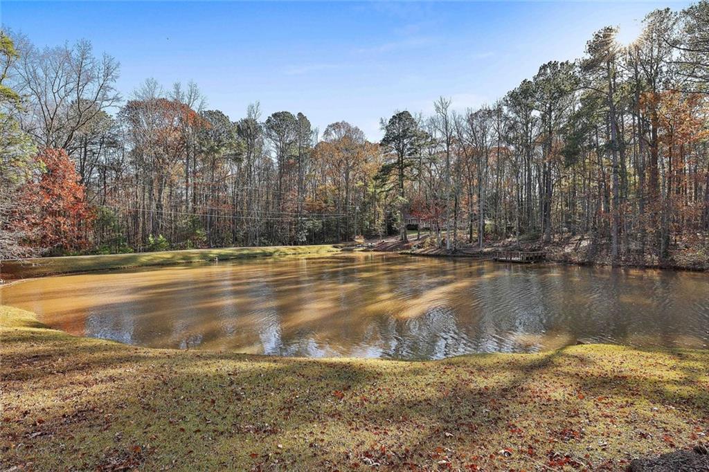 337 Andrew Bailey Road, Sharpsburg, Georgia image 7