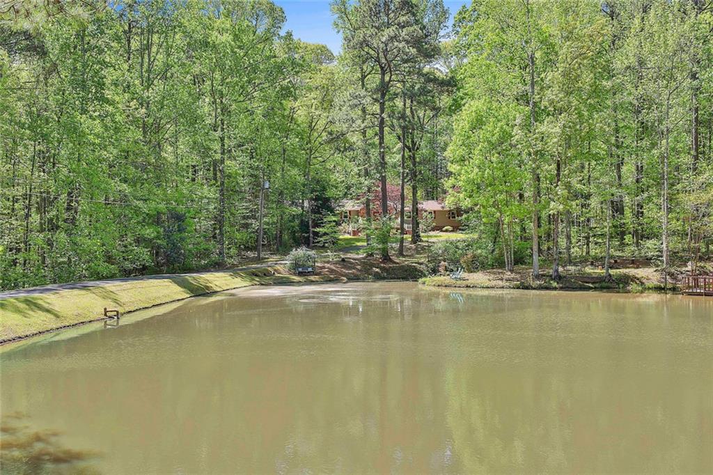 337 Andrew Bailey Road, Sharpsburg, Georgia image 1