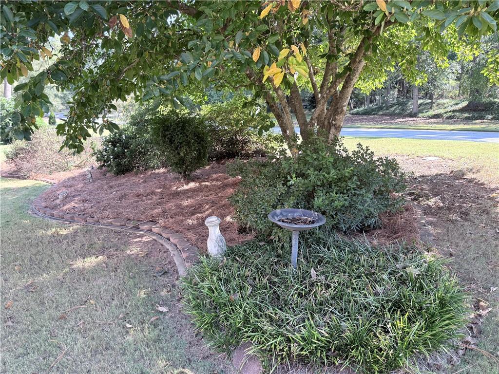 1393 Crooked Tree Court SW