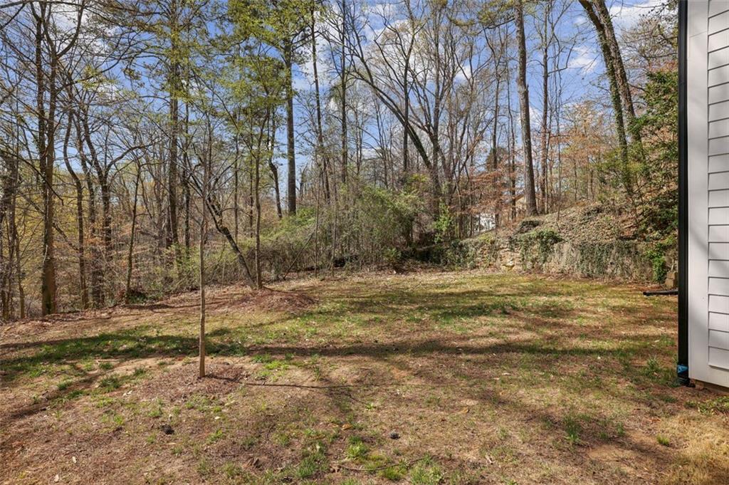 1800 Charles Place, Atlanta, Georgia image 39