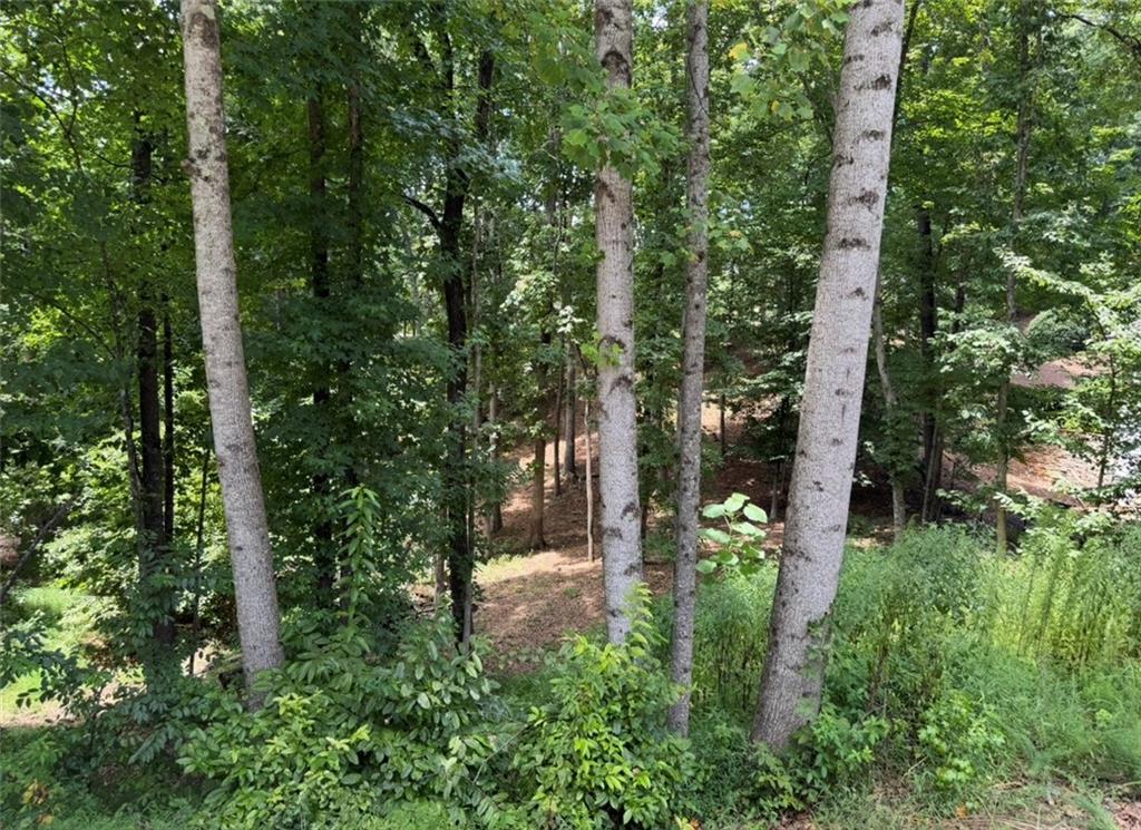 3043 Chattahoochee Trace