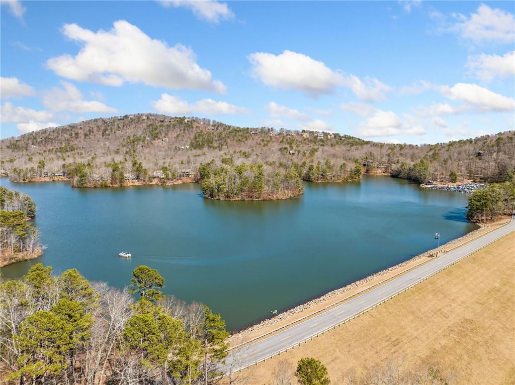 10 Buckskull Knoll, Big Canoe, Georgia image 5