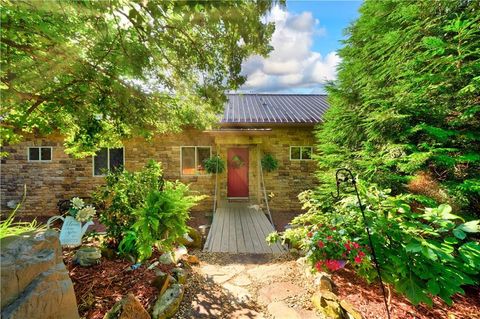 325 Weoka Court Ellijay GA 30540