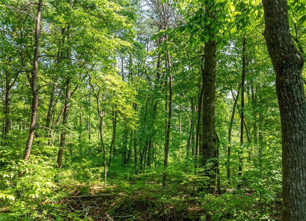 LOT 34 Winfield Circle