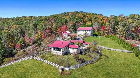 A home in Blue Ridge