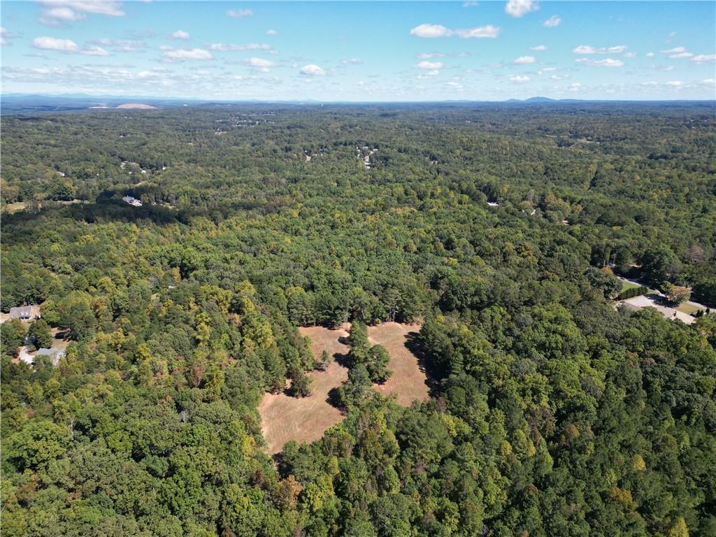 601 Scott Road, Canton, Georgia image 9