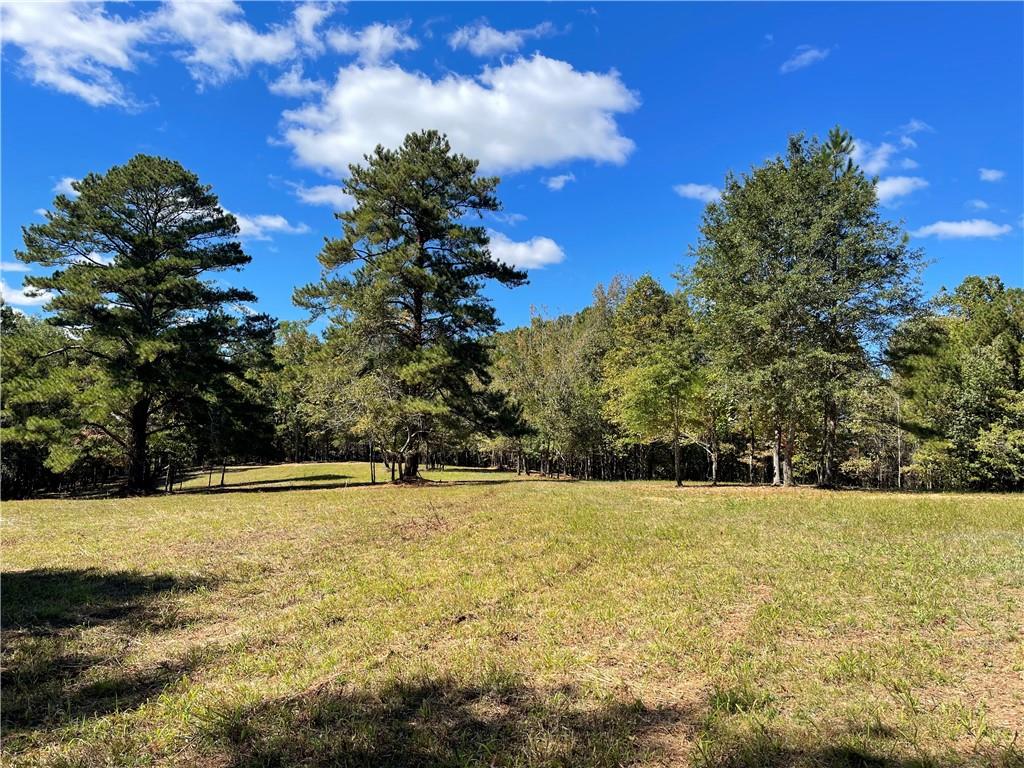 601 Scott Road, Canton, Georgia image 13