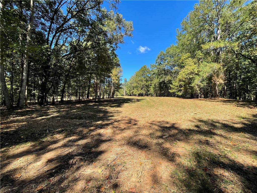 601 Scott Road, Canton, Georgia image 7