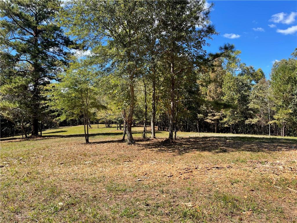 601 Scott Road, Canton, Georgia image 14