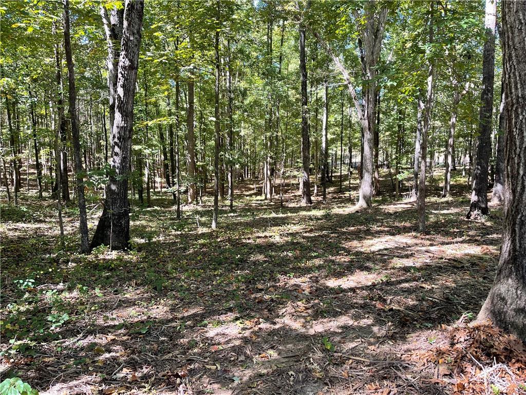 601 Scott Road, Canton, Georgia image 5