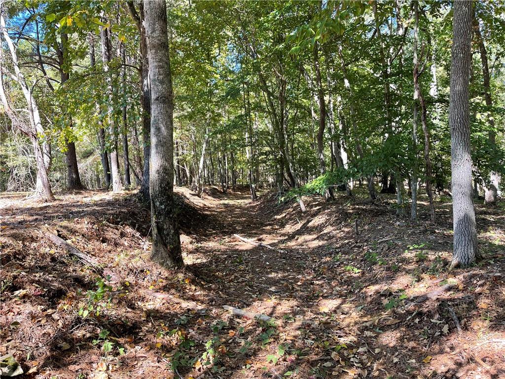 601 Scott Road, Canton, Georgia image 15