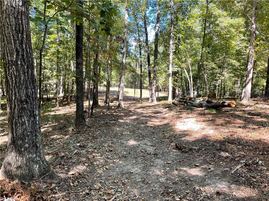 601 Scott Road, Canton, Georgia image 4
