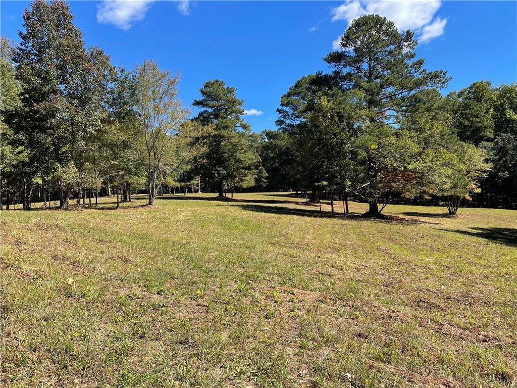 601 Scott Road, Canton, Georgia image 18