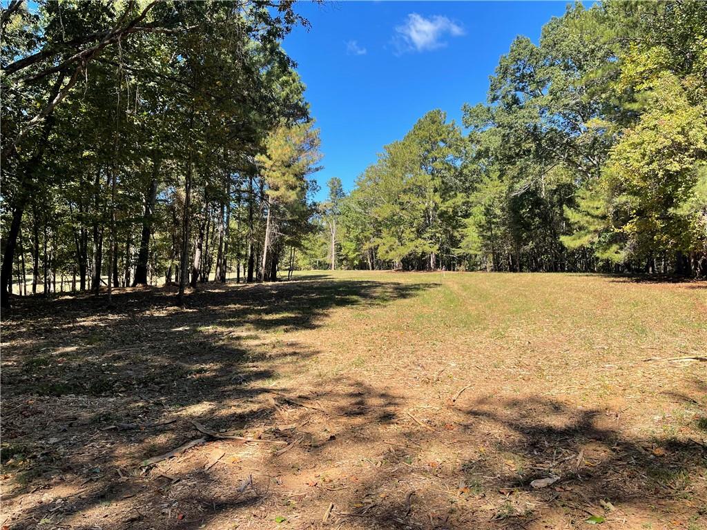 601 Scott Road, Canton, Georgia image 6