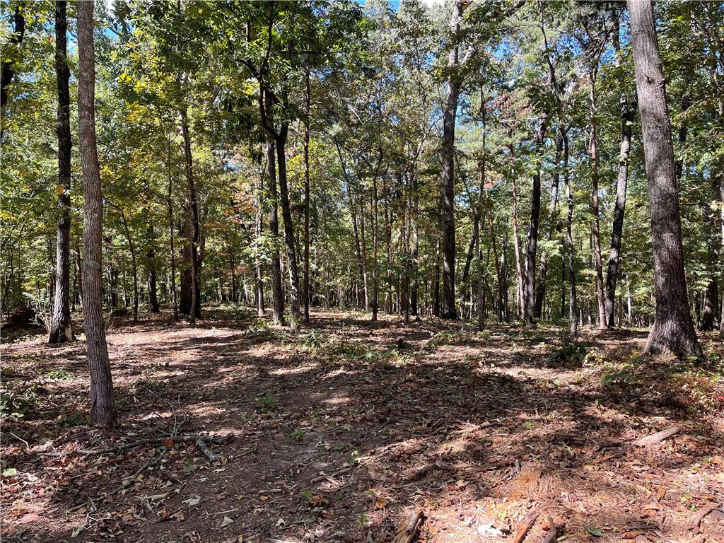 601 Scott Road, Canton, Georgia image 16