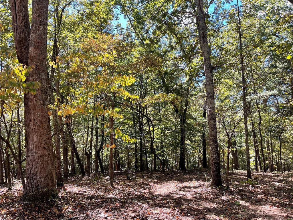 601 Scott Road, Canton, Georgia image 17