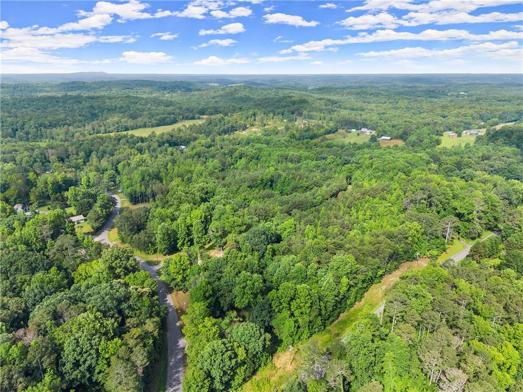 Yellow Creek Road, Murrayville, Georgia image 8