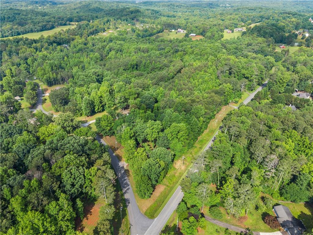 Yellow Creek Road, Murrayville, Georgia image 9
