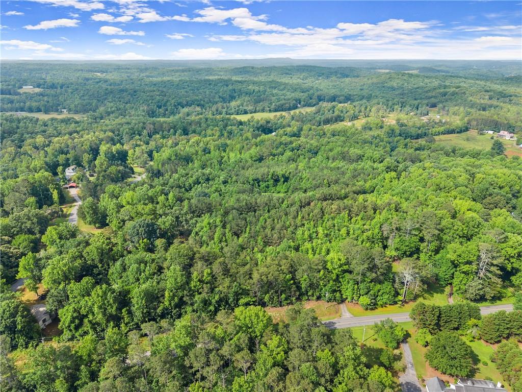 Yellow Creek Road, Murrayville, Georgia image 7