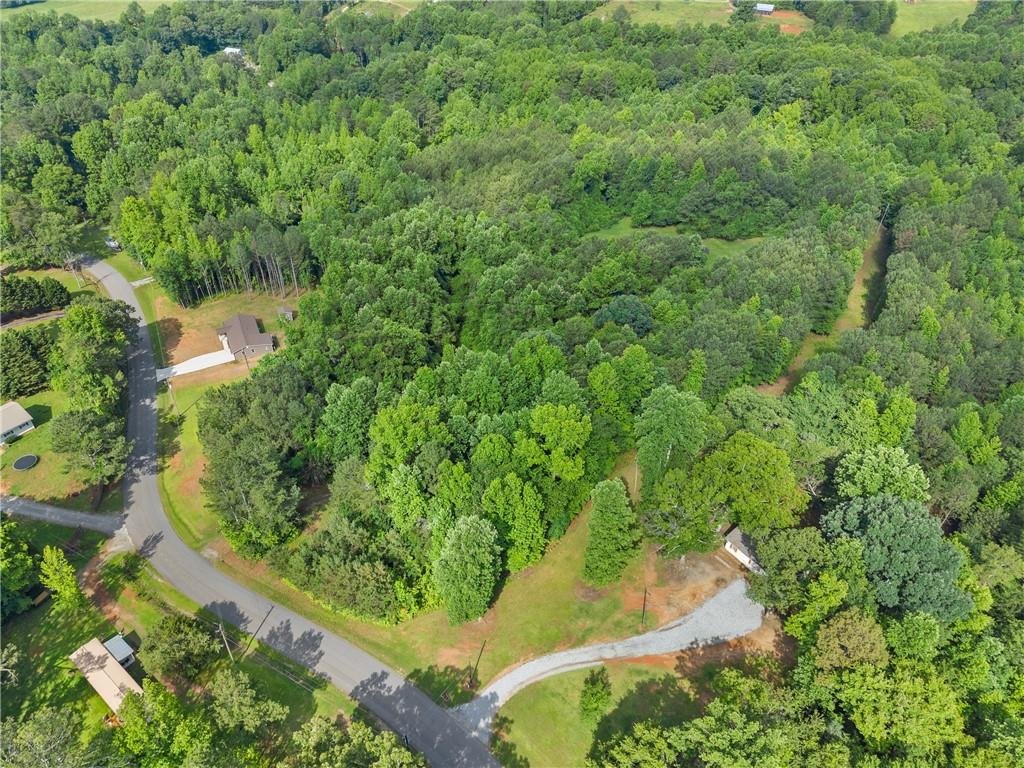 Yellow Creek Road, Murrayville, Georgia image 17