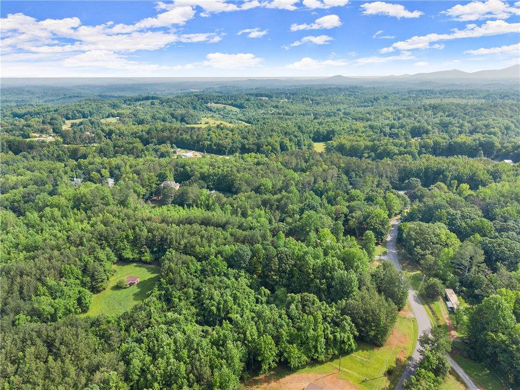Yellow Creek Road, Murrayville, Georgia image 5