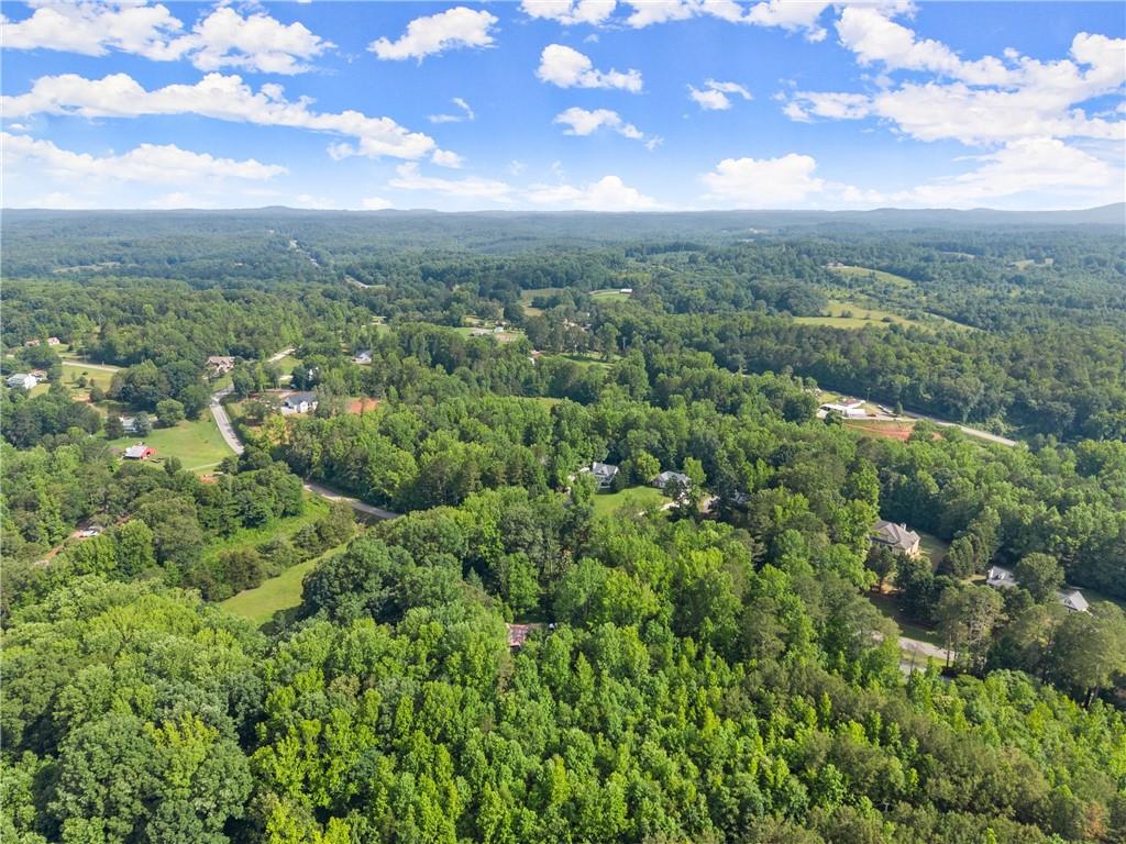 Yellow Creek Road, Murrayville, Georgia image 14