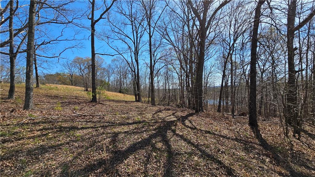 Lot 2 Snote Jones Road, Dallas, Georgia image 10