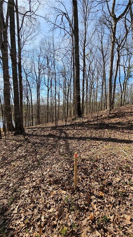 Lot 2 Snote Jones Road, Dallas, Georgia image 7
