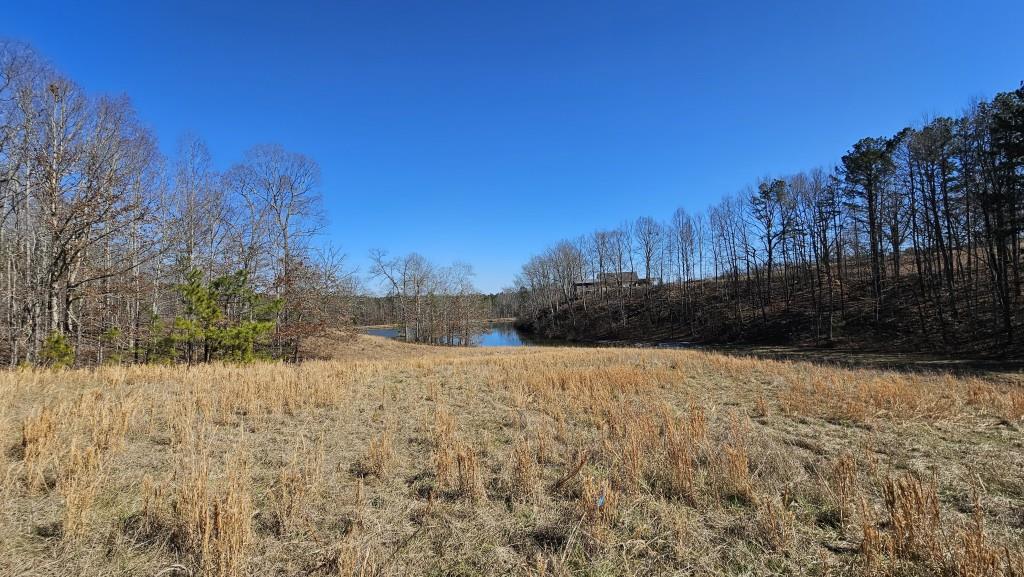 Lot 2 Snote Jones Road, Dallas, Georgia image 6