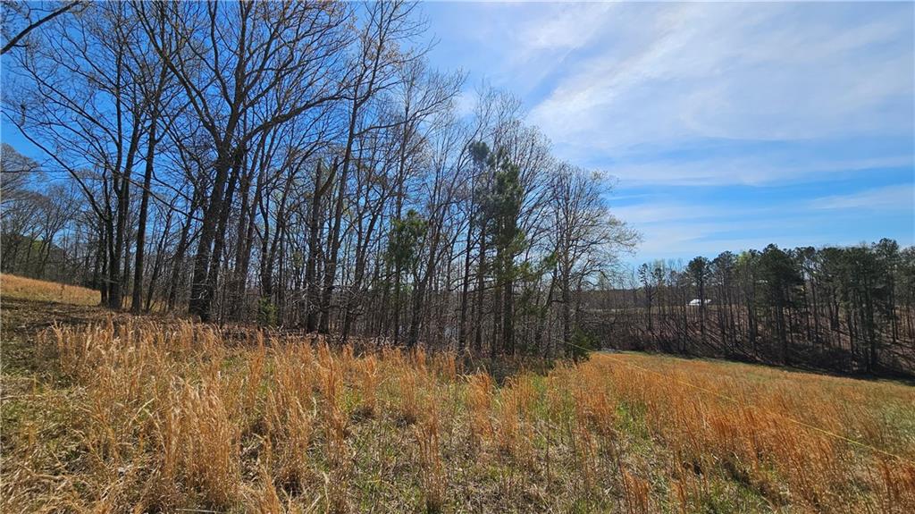 Lot 2 Snote Jones Road, Dallas, Georgia image 11