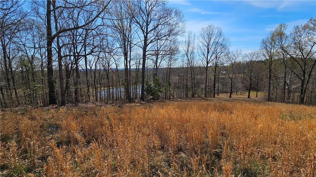 Lot 2 Snote Jones Road, Dallas, Georgia image 13