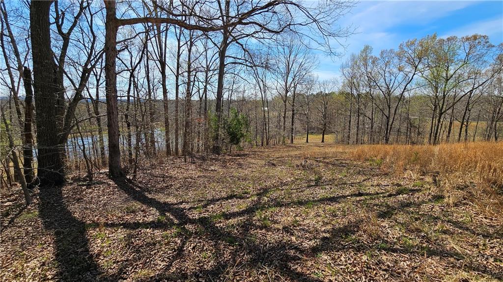 Lot 2 Snote Jones Road, Dallas, Georgia image 14